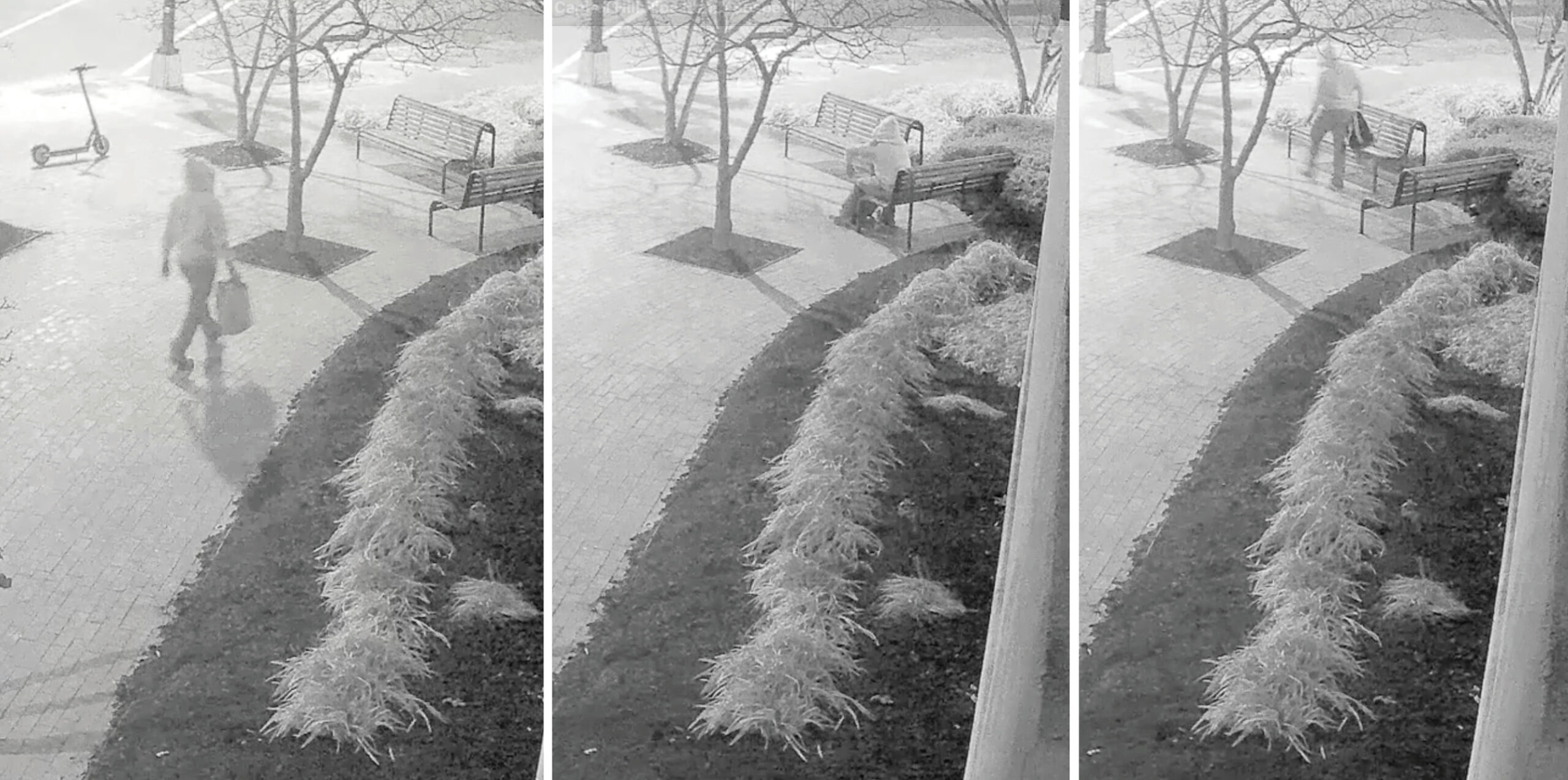 Video sleuth challenges FBI Jan. 6 pipe-bomb narrative, unearths new evidence